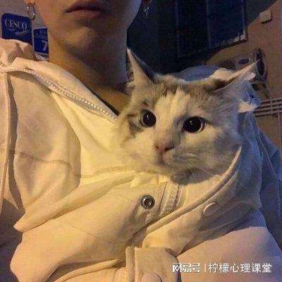 铁血攻沙公益服下载